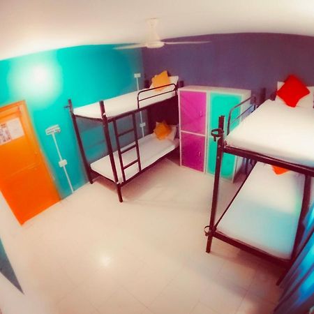 The Hostel Crawl Udaipur Esterno foto