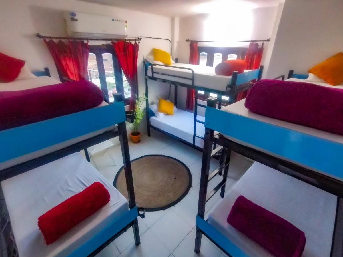 The Hostel Crawl Udaipur Esterno foto