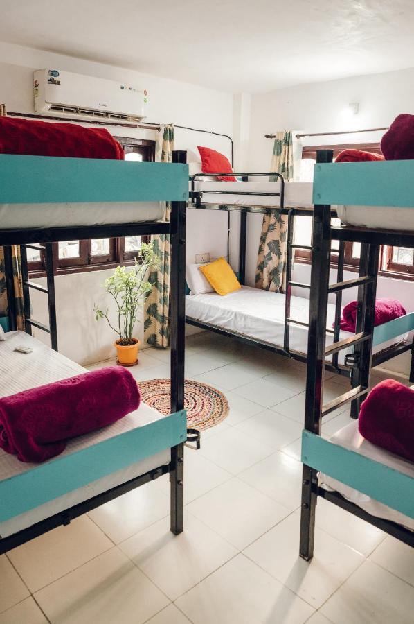 The Hostel Crawl Udaipur Esterno foto